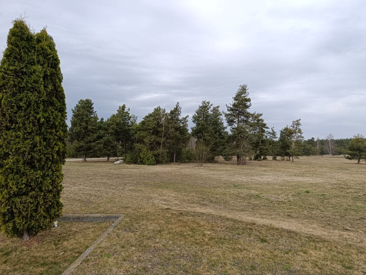 photo_2026-03-30_13-37-58