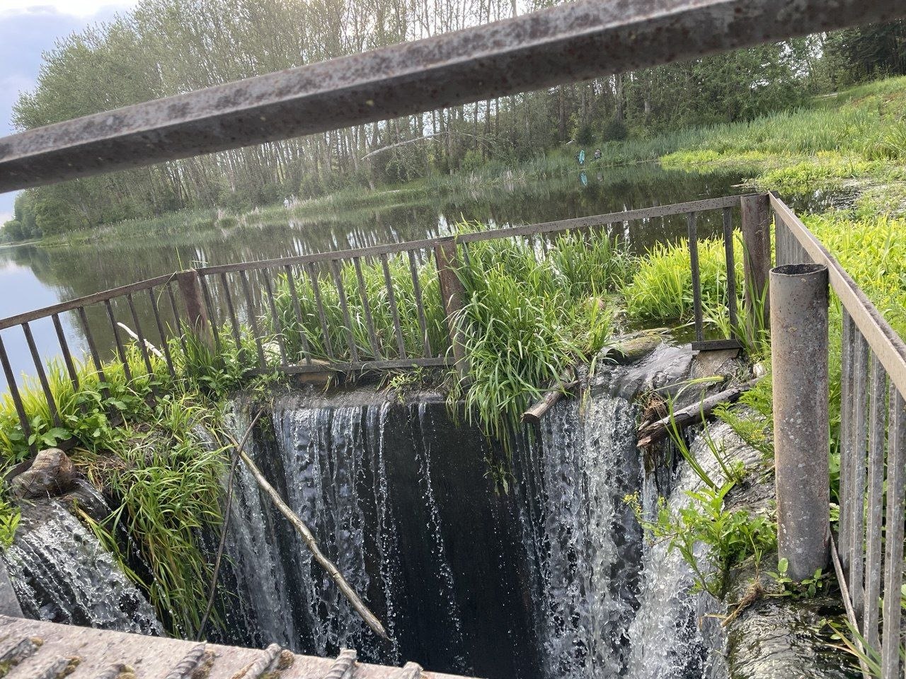 photo_2026-03-30_13-38-50